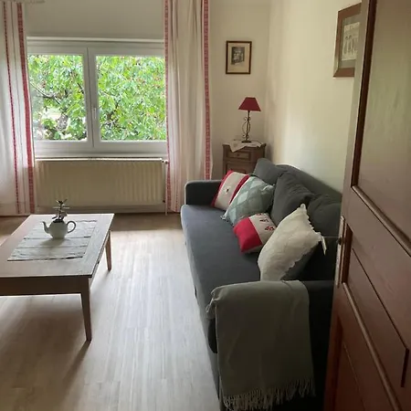 Gite Du Vignoble * Ammerschwihr