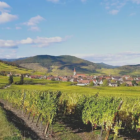Gite Du Vignoble Ammerschwihr