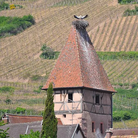 Gite Du Vignoble Holiday home Ammerschwihr