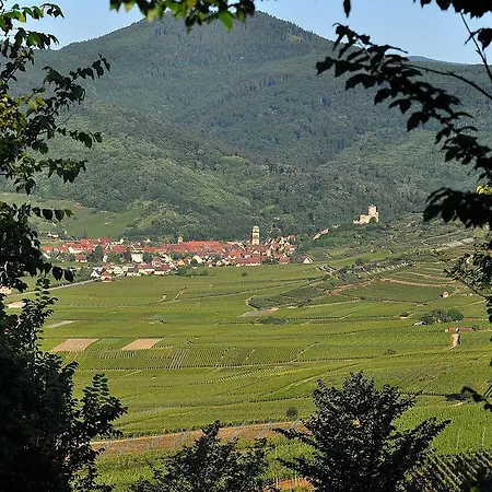 Holiday home Gite Du Vignoble Ammerschwihr