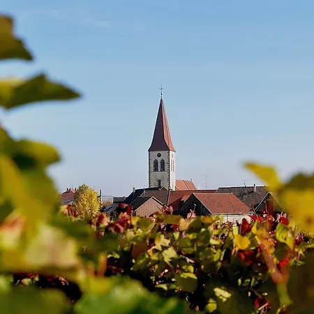 Gite Du Vignoble Holiday home
